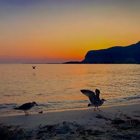 Oda ve Kahvaltı Stabilimento Lido Burrone 4*